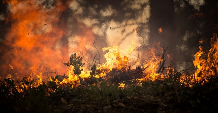 Image of Wildfire