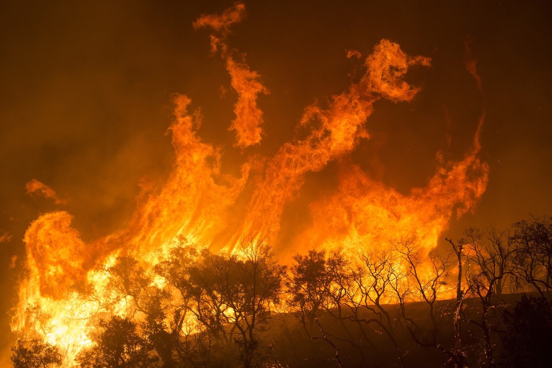 Image of California Wildfires